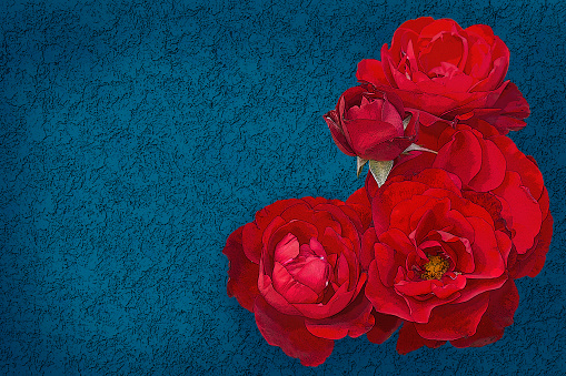 Abstract background bouquet of red roses on blue background with copy space. Illustration imitating watercolour.
