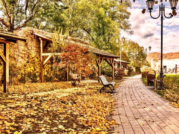 Beautiful autumn park with benches and fallen leaves. Color toning applied.