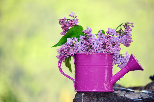 Vase with Purple lilac