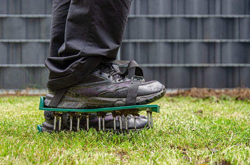 Close-up of lawn aeration shoe with metal spikes. Pprocess of soil scarification. Feet of man wearing black shoes. Green grass around, anthracite fence in background.