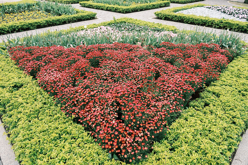 Summer garden with blooming of different flowers and a well-groomed green lawn.