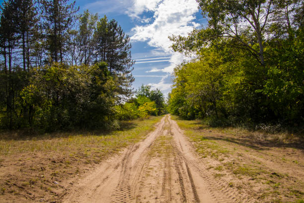 Forest and road near Asotthalon in South Hungary
