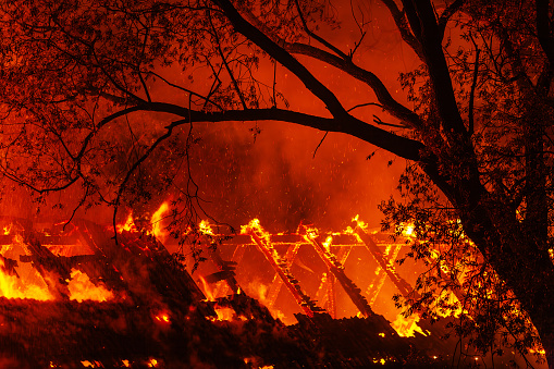 Forest fire at night, wildfire dry summer season, burning nature, horizontal banner image.