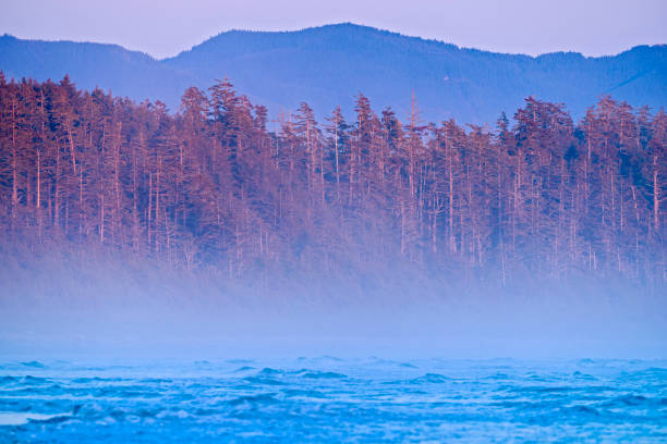 Shoreline of Pacific Rim National Park on Vancouver Island, British Columbia
