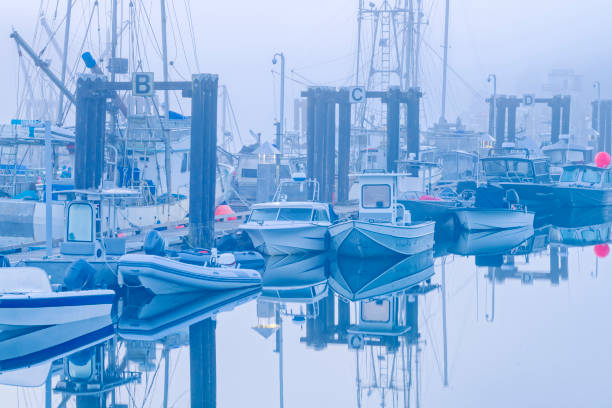 Serene scene of boats docked at a harbor, captured on a misty day with tranquil water reflections, evoking a sense of calm and stillness.