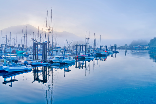 Fishing dock in the early morning fog in the town of Tofino by the Pacific Rim National Park on Vancouver Island, British Columbia