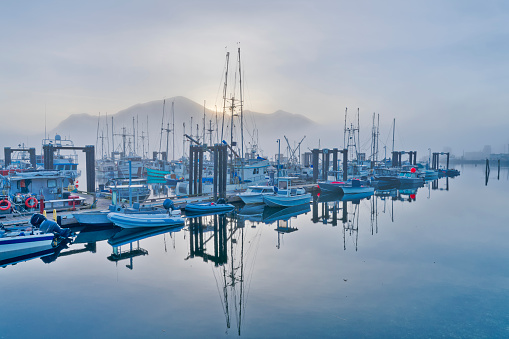 Fishing dock in the early morning fog in the town of Tofino by the Pacific Rim National Park on Vancouver Island, British Columbia