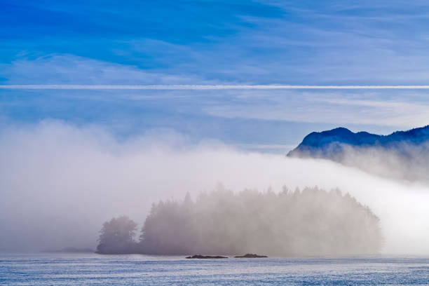 istock Vancouver Island British Columbia 2035957008