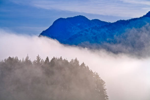 Shoreline of Pacific Rim National Park on Vancouver Island, British Columbia