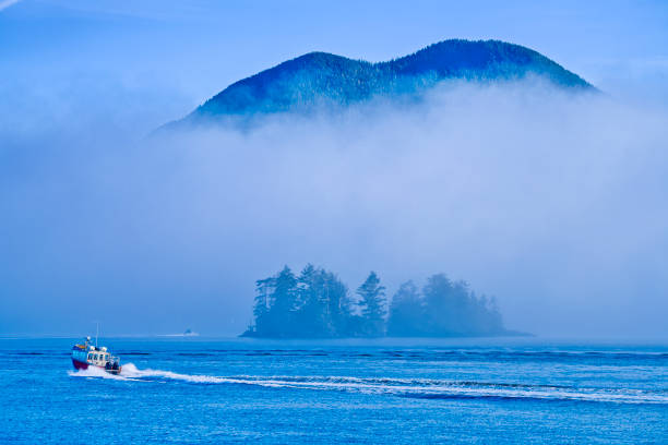 istock Vancouver Island British Columbia 2035958062