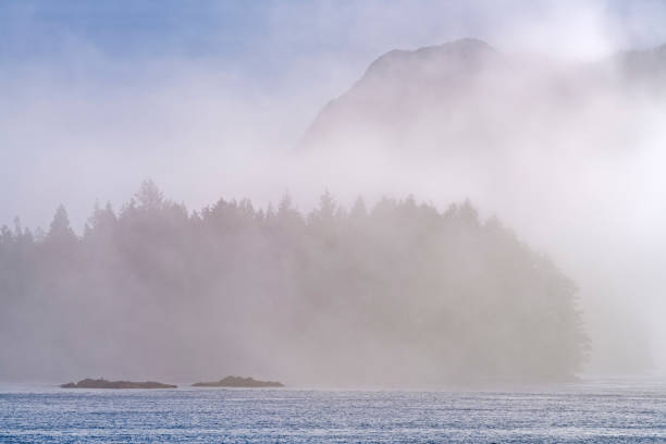 istock Vancouver Island British Columbia 2035958083