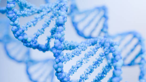 istock DNA on blue background. Hologram blue glowing rotating DNA double helix. Science and medicine concepts. 3d render 2035995077