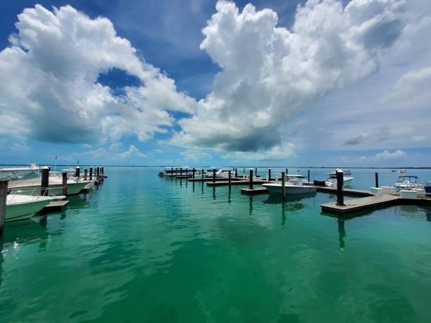 istock Resorts World Bimini Marina under summer cloudscape. 2036100592