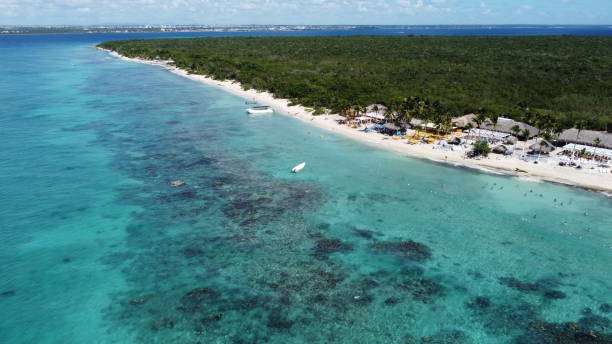 istock Dominican Republic Catalina Island beach 2036108368