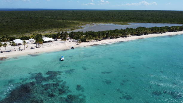 istock Dominican Republic Catalina Island beach 2036108377