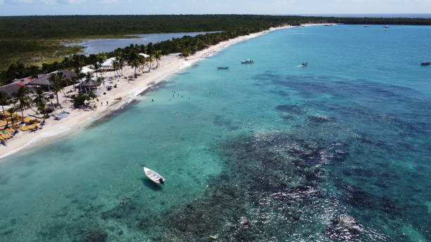 istock Dominican Republic Catalina Island beach 2036108385