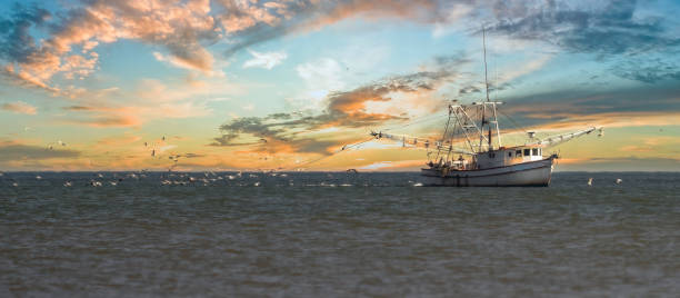 Shrimp Trawler at sunset beach