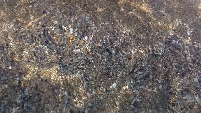 Seabed in shallow waters of Black Sea in Bulgaria. Small colored pebbles and shells are visible through clear, clean sea water. Natural background