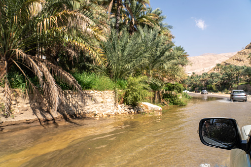 Cars driving on flooded road after heavy rain to oasis Wadi Bani Khalid.  Oman