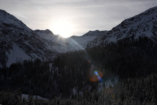 istock Wood in winter 2036141039