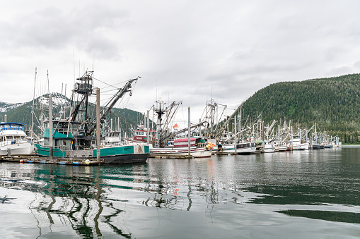 Commercial fishing Boats in the Marina, Petersburg, Alaska