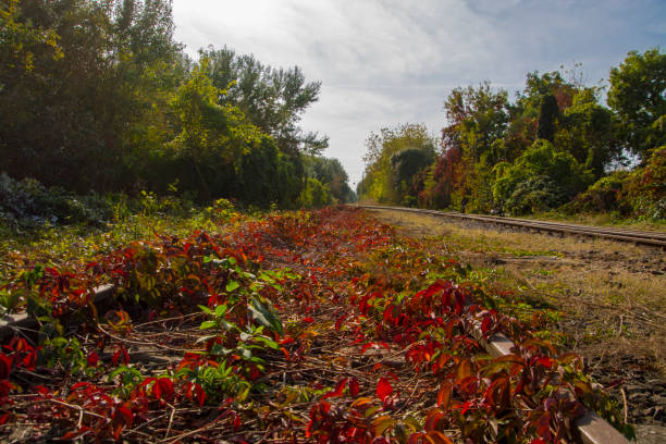 Abandoned railways near Szeged in South Hungary