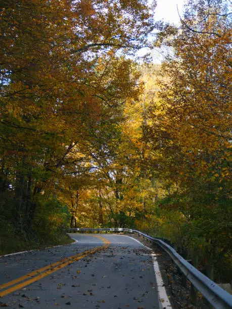 The curvy two lane roads of West Virginia in the fall