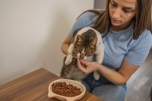 Happy girl  feeding her favorite cat and enjoying in her friendship.