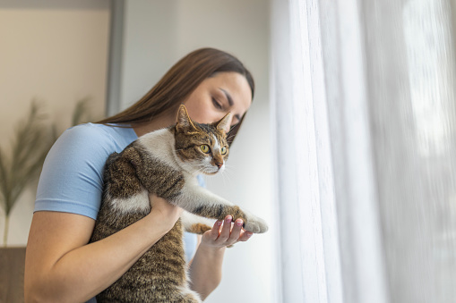 Love pets. Young girl cuddling and holding her cute cat for the paws.