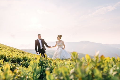 happy stylish bride and groom running and having fun in mountains on summer sunny day. gorgeous newlywed couple laughing, true feelings. emotional romantic moment.