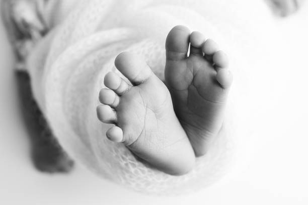 the tiny foot of a newborn baby. soft feet of a new born in a blanket. close up toes, heels and feet of a newborn. black and white macro photography. - human foot baby black and white newborn стоковые фото и изображения