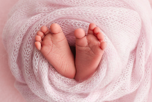 The tiny foot of a newborn baby. Soft feet of a new born in a pink wool blanket. Close up of toes, heels and feet of a newborn. Macro photography.