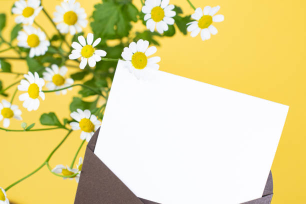 istock Flower and Card Mock-up 2036529499