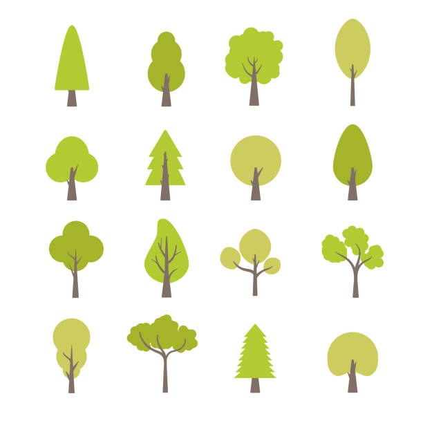 ilustrações, clipart, desenhos animados e ícones de flat trees set. flat forest tree nature plant isolated eco foliage - tree branch tree trunk leaf