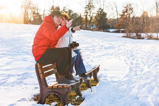 two dogs on a park bench in winter. Marble Border Collie Together Outdoors in the Snow