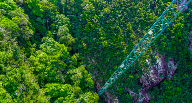 sky bridge of langkawi island in malaysia. - tropical rainforest elevated walkway pulau langkawi malaysia - fotografias e filmes do acervo