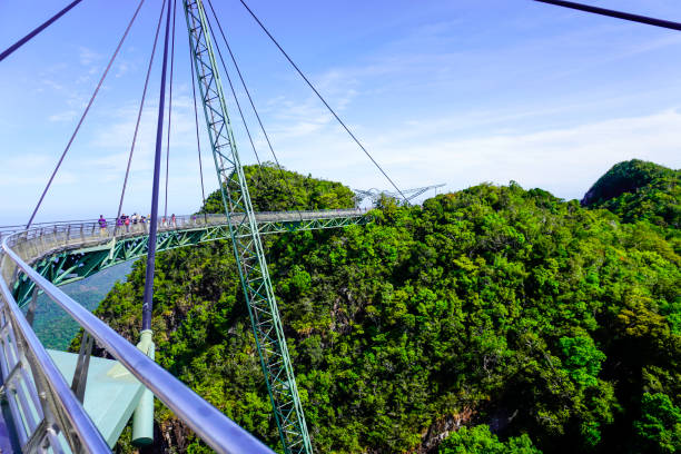 sky bridge of langkawi island in malaysia. - tropical rainforest elevated walkway pulau langkawi malaysia - fotografias e filmes do acervo