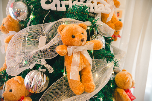 Happy Christmas holiday , Bear doll decorate on Chrismas tree
