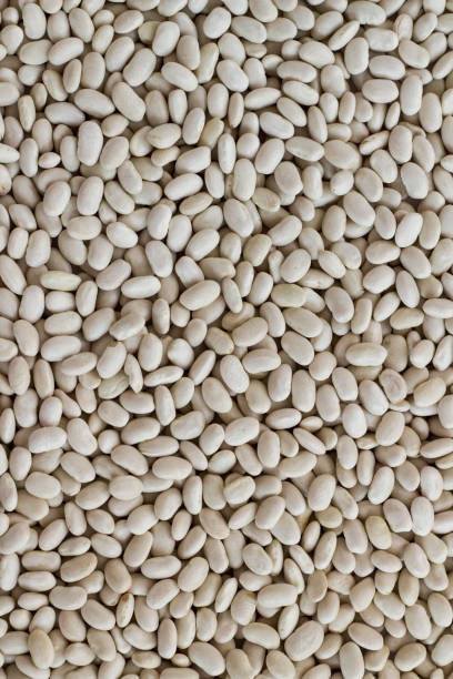 istock Traditional Turkish Domestic White Beans Background 2036811266