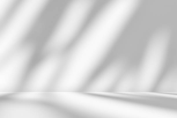 istock Yucca leaves tree plant shadow effect overlay in a white room. 2036839585