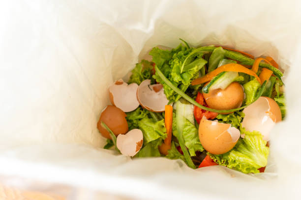 istock Ecology compost supply Kitchen waste recycling composter environmentally friendly. Fruit peel egg shell and vegetables reduce waste 2036840612