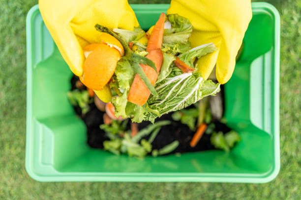 istock Ecology compost supply Kitchen waste recycling composter environmentally friendly. The young man throws leftover fruit peel egg shell and vegetables reduce waste 2036857246