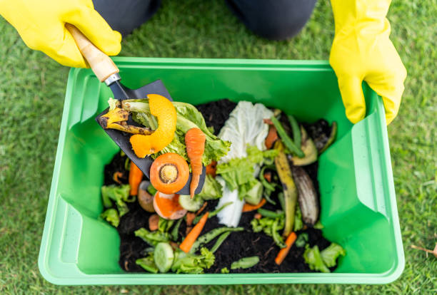 istock Ecology compost supply Kitchen waste recycling composter environmentally friendly. The young man throws leftover fruit peel egg shell and vegetables reduce waste 2036858119
