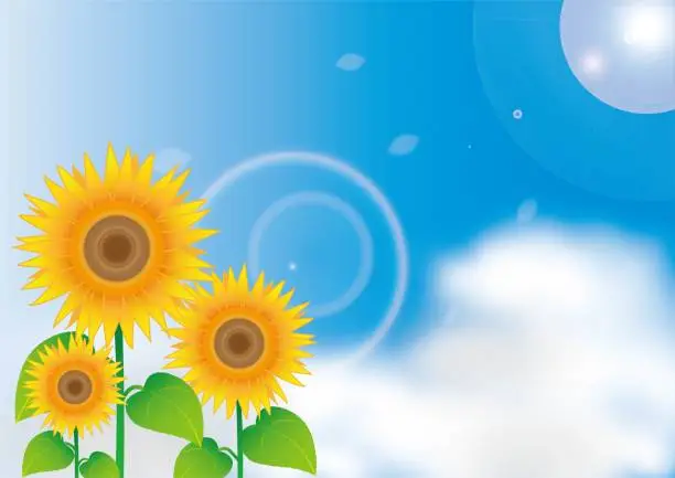 Vector illustration of Sunflowers blooming towards the blue sky and the sun / illustration material (vector illustration)