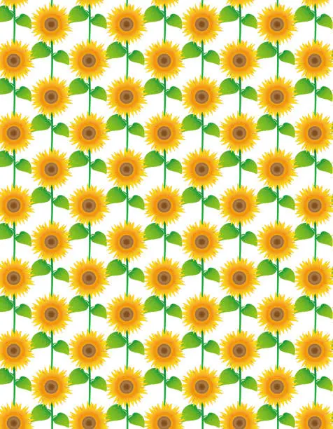 Vector illustration of Sunflower (summer flower/background/wallpaper) / illustration material (vector illustration)