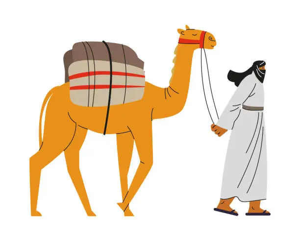 Vector illustration of Bedouin is walking with camel with cargo, vector cartoon nomad in traditional Arab clothing isolated, desert transport