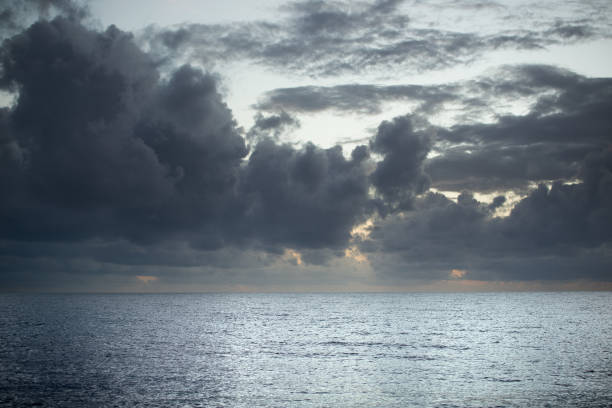 istock Coral Sea Morning 2036922527
