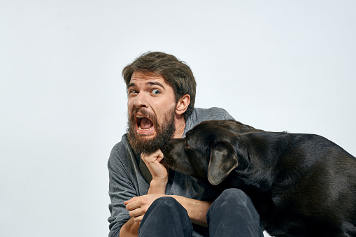 happy owner with pet black dog training model emotions. High quality photo
