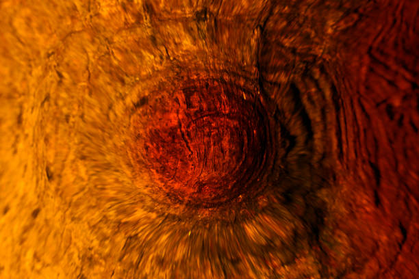 Retouched image based on an image of a tree's lumps, with color processing that gives the impression of an overhead view of a desolate reddish-brown land.