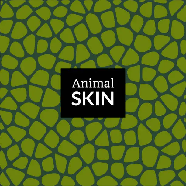 Vector illustration of Animal skin texture pattern. Elephant crocodile snake or reptile vector skin texture print